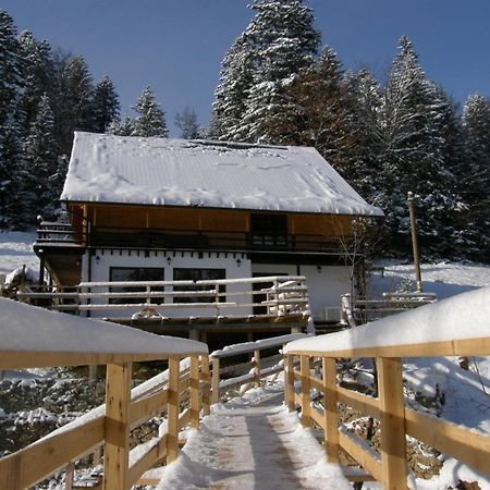Cabana Cota 1000 Arieseni Bagian luar foto