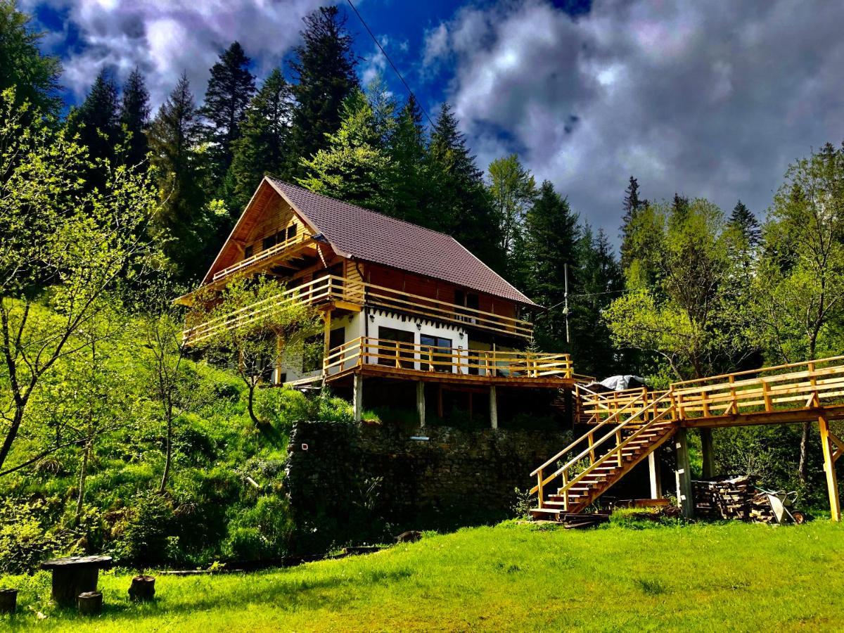 Cabana Cota 1000 Arieseni Bagian luar foto