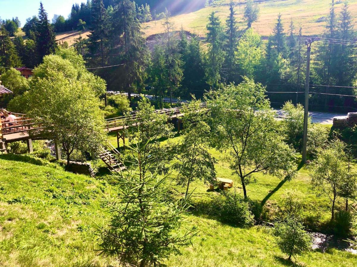 Cabana Cota 1000 Arieseni Bagian luar foto