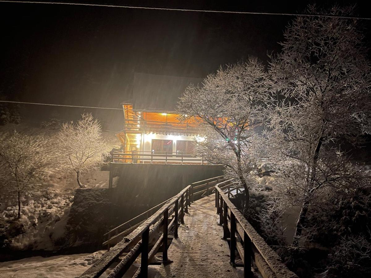 Cabana Cota 1000 Arieseni Bagian luar foto